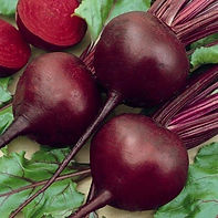 Beets