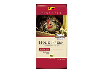 Home Fresh Poultry Feed
