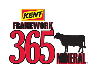 Kent Framework 365 Mineral