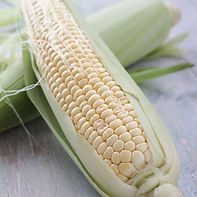 Sweetcorn