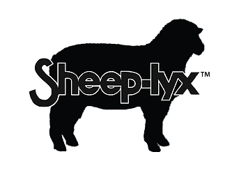 Sheep-lyx