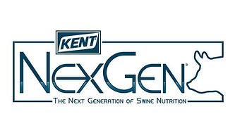 Kent NexGen Swine Feed