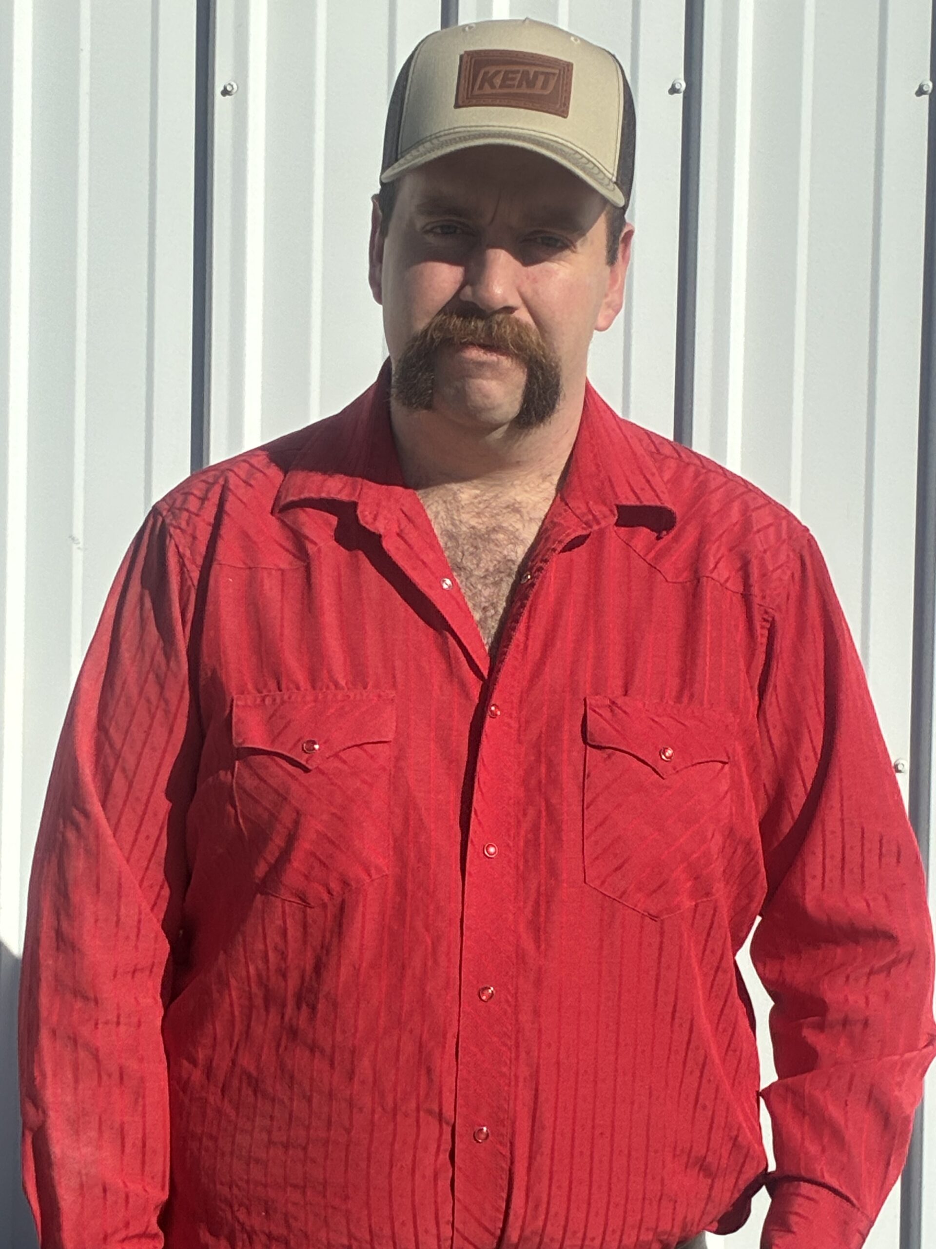 Livestock and farm products icon